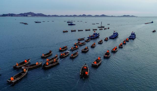 山東榮成：看百舸爭(zhēng)流 海帶收獲正當(dāng)時(shí)