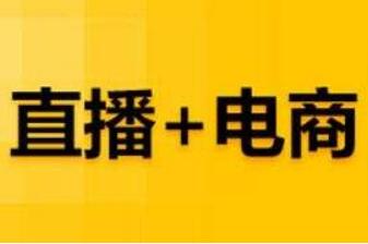 構(gòu)建產(chǎn)業(yè)區(qū)、培育網(wǎng)紅品牌……山東3市已出臺(tái)直播電商扶持政策