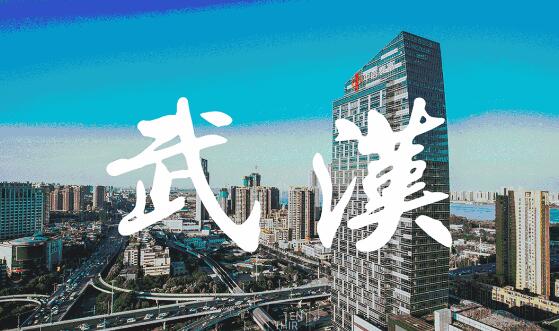 武漢新城建設確定年度實施十大行動