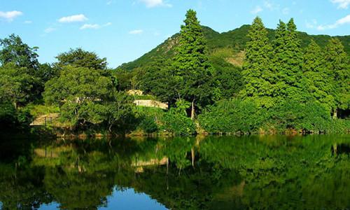 山東：打造綠水青山秀美家園