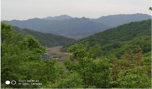 大山里的甜蜜事業(yè)