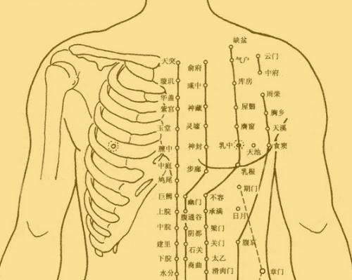 人體是否有“穴位”存在？