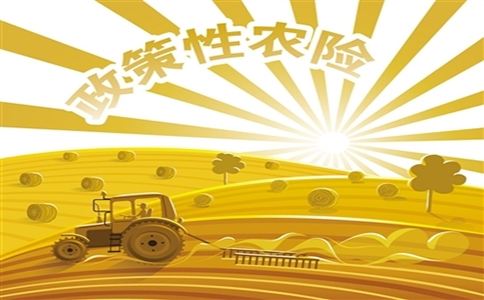 2022年我國(guó)農(nóng)業(yè)保險(xiǎn)為1.67億戶次農(nóng)戶提供風(fēng)險(xiǎn)保障5.46萬(wàn)億元