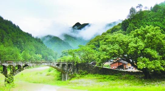 峰會十年間，看“浙”里產(chǎn)業(yè)舊貌換新顏