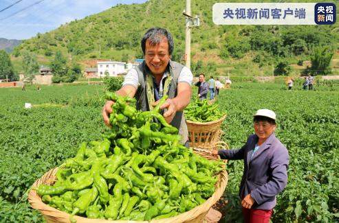 云南脫貧縣農(nóng)村居民收入增長(zhǎng)11%  人均可支配收入13027元