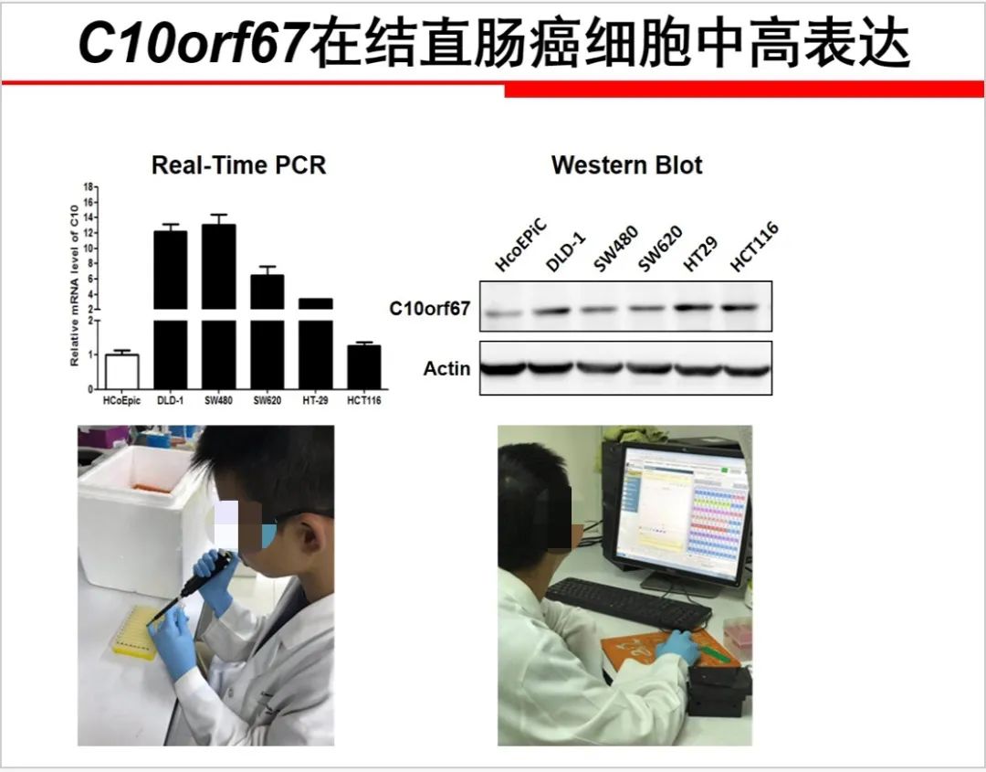 昆明一小學(xué)生研究癌癥論文一等獎(jiǎng)被撤銷