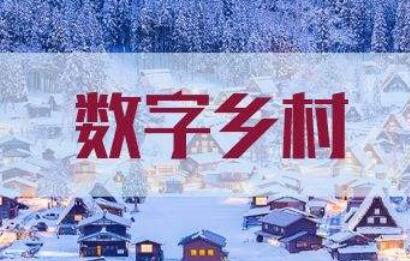 河南省將打造60個(gè)以上省級數(shù)字鄉(xiāng)村示范縣