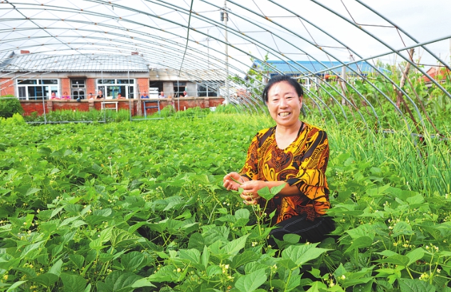 蘭西：小小庭院地致富“聚寶盆”