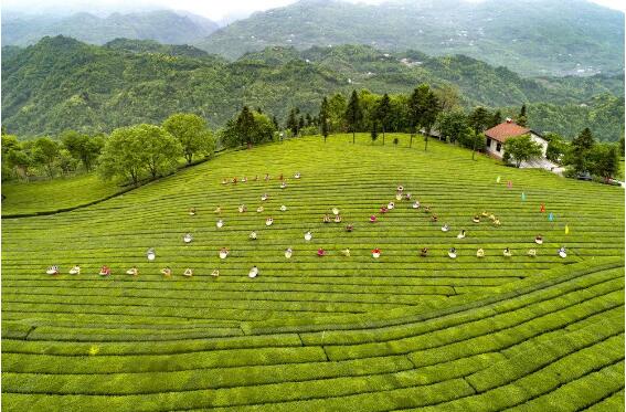 湖南發(fā)布5條瓷茶旅自駕游線路