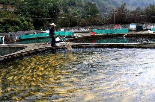 電商助力 新疆小魚餌“一帶一路”走俏