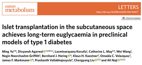 自然子刊：新的胰島細(xì)胞皮下移植方法或改善1型糖尿病治療