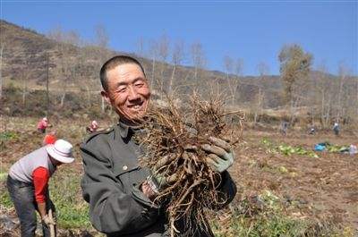 今年前三季度脫貧人口收入增速繼續(xù)高于全國農(nóng)村平均水平