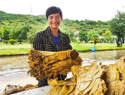 云南文山：服務更到位，交煙更輕松