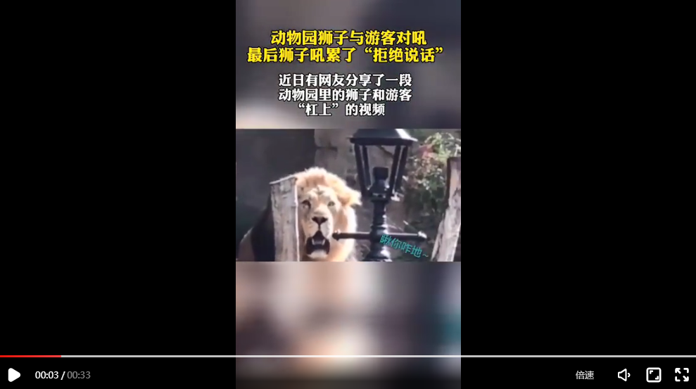 動物園獅子與游客對吼