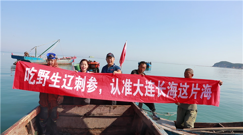 這片海海參，大海給我們最好的饋贈