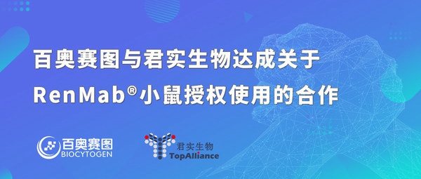 百奧賽圖與君實(shí)生物達(dá)成關(guān)于RenMab(R)小鼠授權(quán)使用的合作