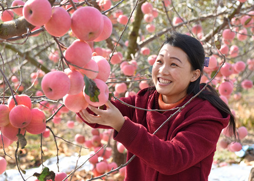 全國(guó)勞模牛慶花：電商玫瑰“燃”紅扶貧路