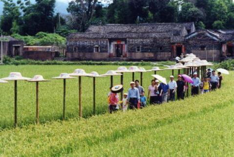 鄉(xiāng)村旅游景點餐飲、住宿消費迅速升溫回暖