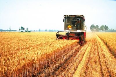 各地區(qū)各部門始終把保障國家糧食安全擺在首位 著力提高糧食綜合生產(chǎn)能力