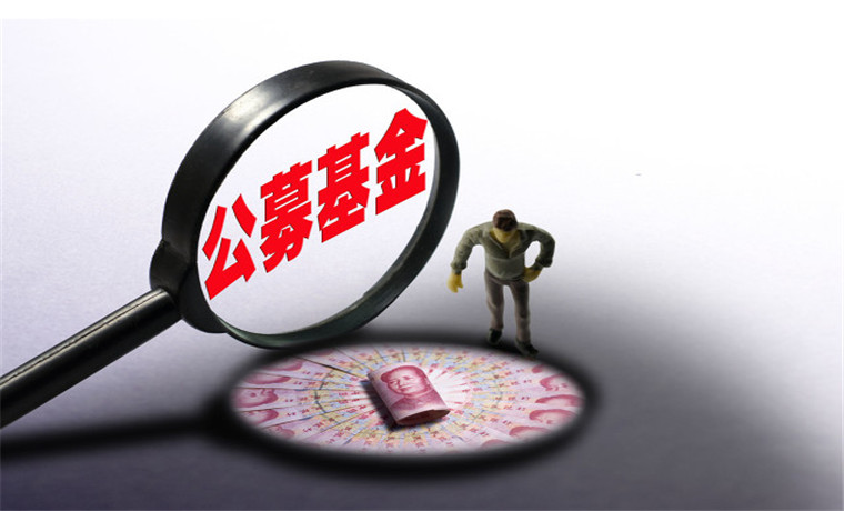 公募基金引領(lǐng)風(fēng)向 A股專業(yè)投資駛?cè)氚l(fā)展快車道