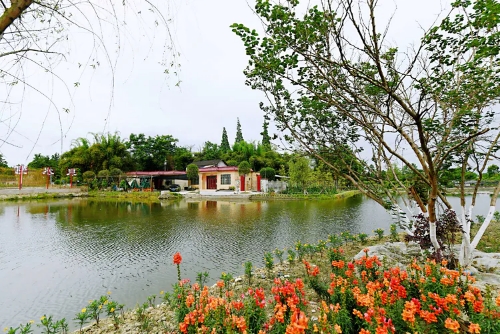 火花村：文旅搞上去，會(huì)有“火樹銀花”