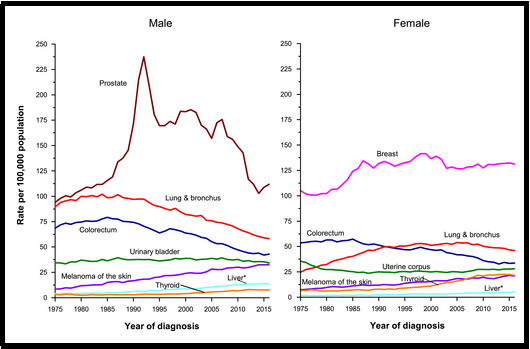 乳腺癌成全球第一大癌！帶你認(rèn)識(shí)“新癌王”防治