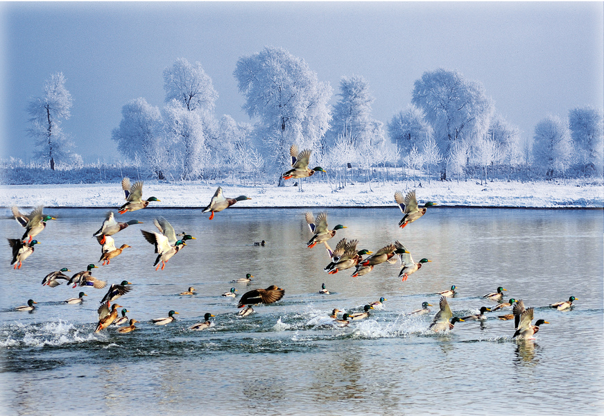 起底冰雪節(jié)事?tīng)I(yíng)銷(xiāo)“秘籍”