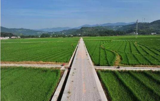 安徽將用三年時(shí)間完成二輪土地延包