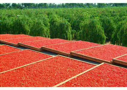 科技加持，寧夏“紅色名片”越來越亮