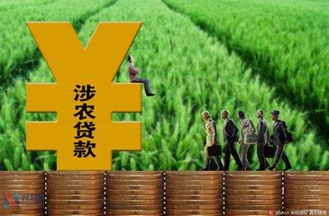 2020年我國(guó)涉農(nóng)貸款余額同比增長(zhǎng)10.7%