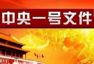 2022年中央一號文件發(fā)布 共有八個部分35條細(xì)則