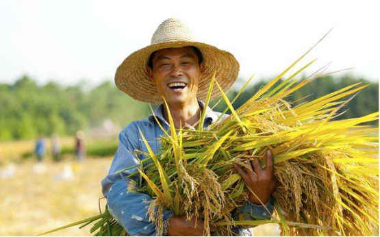 “飯碗”端得牢 農(nóng)民鼓腰包