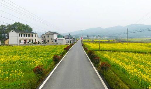 中央一號(hào)文件起草組成員解讀：大力實(shí)施鄉(xiāng)村建設(shè)行動(dòng)