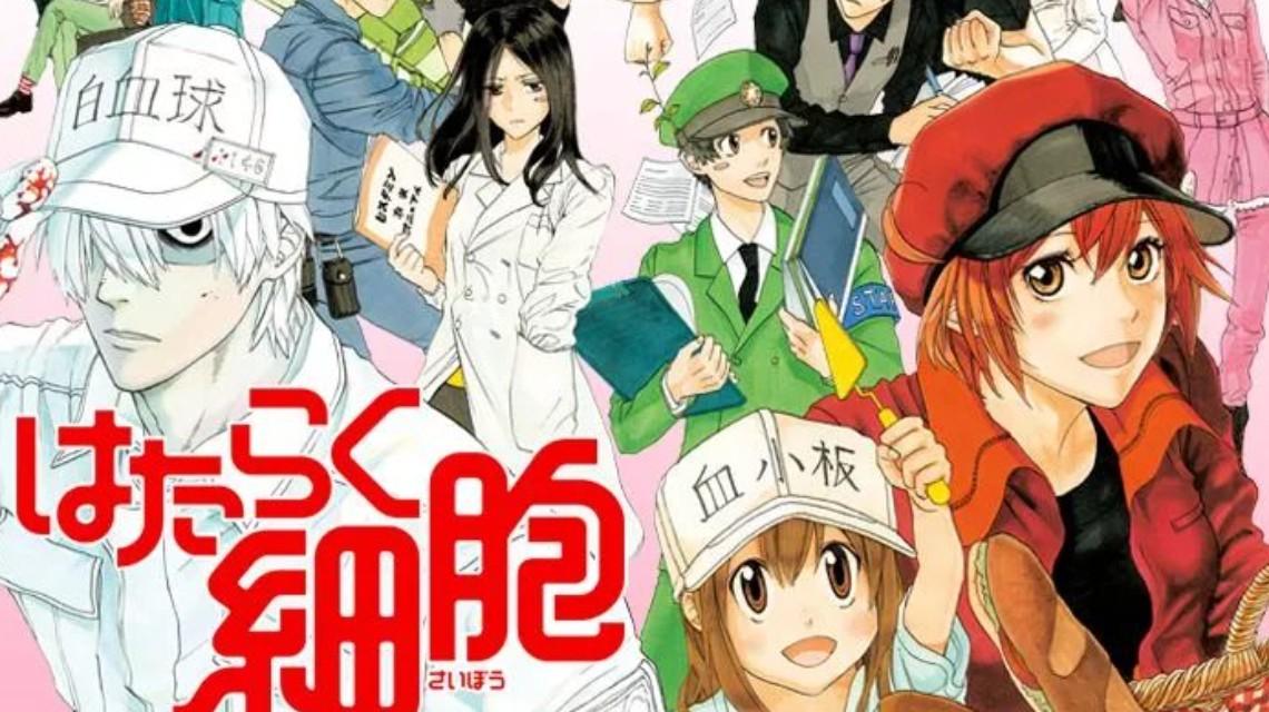 《工作細(xì)胞》第一季上線！時(shí)隔14年！央視再播日本動(dòng)畫