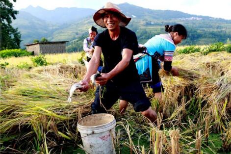 “為全球減貧事業(yè)作出巨大貢獻(xiàn)”