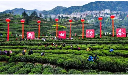 浙江臨建高速通車“滿月” 打造鄉(xiāng)村振興致富路