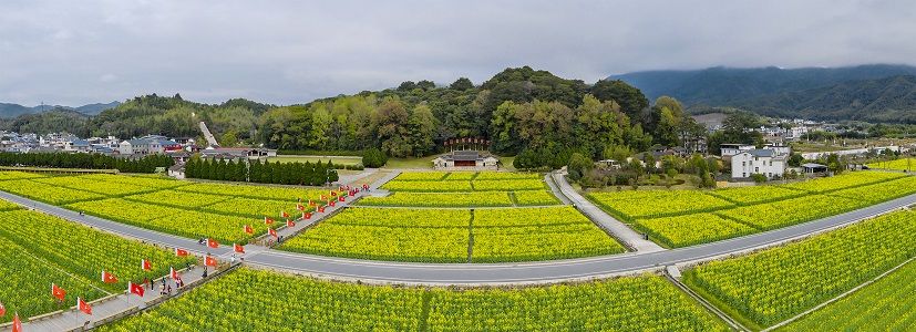 古田會(huì)議：從百年榮光到鄉(xiāng)村振興的紅色密碼