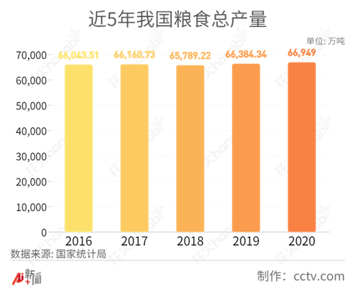 國際糧價大漲，中國人的“飯碗”會受影響嗎？