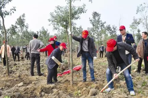 40年來(lái)我國(guó)累計(jì)175億人次參加義務(wù)植樹(shù) 植樹(shù)781億株