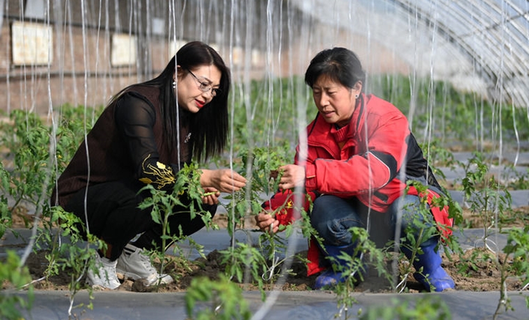 首季貸款創(chuàng)新高后，我國貨幣政策怎么走？