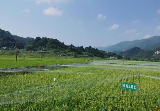 廣東加快推動能源綠色低碳轉型 大力培育發(fā)展綠色低碳產業(yè)