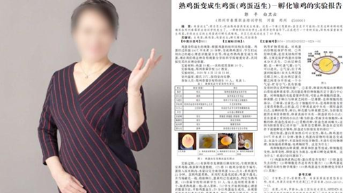  章魚愛記憶：教育界容不下一枚撒謊的蛋