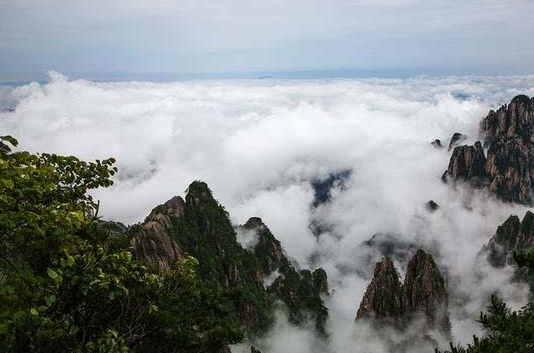 “輝煌百年聲游黃山”講好黃山故事主播大賽啟動