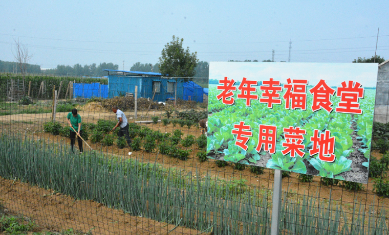 【幸福曲阜】曲阜防山齊李村的幸福食堂有了“小菜園”