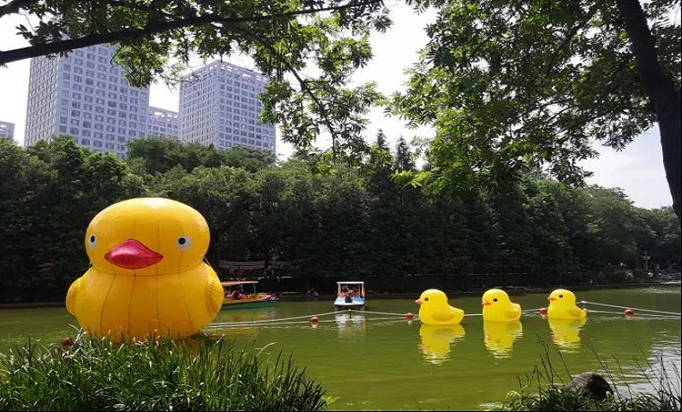 濟(jì)寧市市政園林養(yǎng)護(hù)中心著力提升公園綠地服務(wù)功能