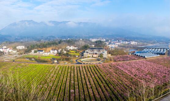 鄉(xiāng)村蝶變 湖北羅田打造鄉(xiāng)村振興新樣板