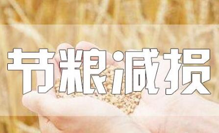 糧食豐收后，如何再增產(chǎn)？節(jié)糧減損可再造“無形良田”