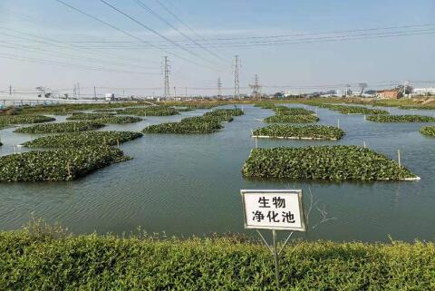 廣東部署開展珠三角百萬畝池塘升級改造三年行動