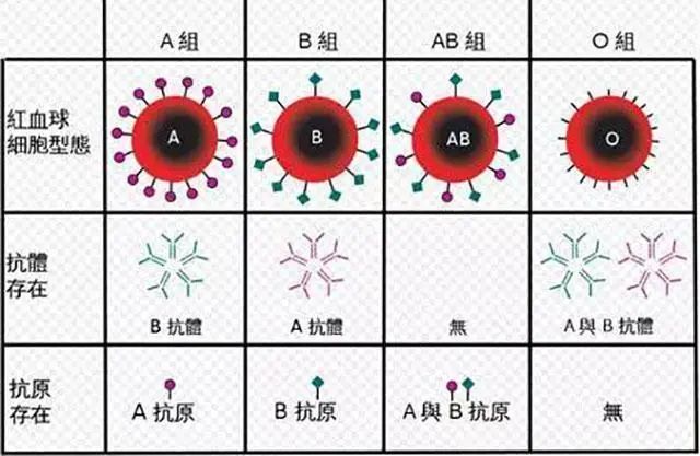 科普   O型血真的是“萬能充”嗎？