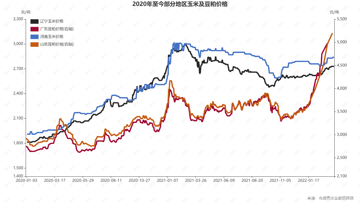 今年飼料價格已上調(diào)至少三次 豆粕漲價帶來哪些連鎖反應(yīng)？